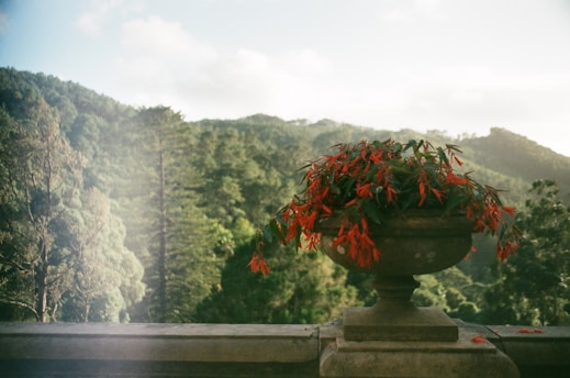 A lush green landscape with a stone railing in the foreground, which holds a large stone planter filled with vibrant red flowers. The background features a distant view of rolling hills and dense forests under a slightly cloudy sky.