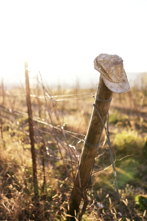 A worn leather cowboy hat resting on a weathered fence post against a desert sunset
