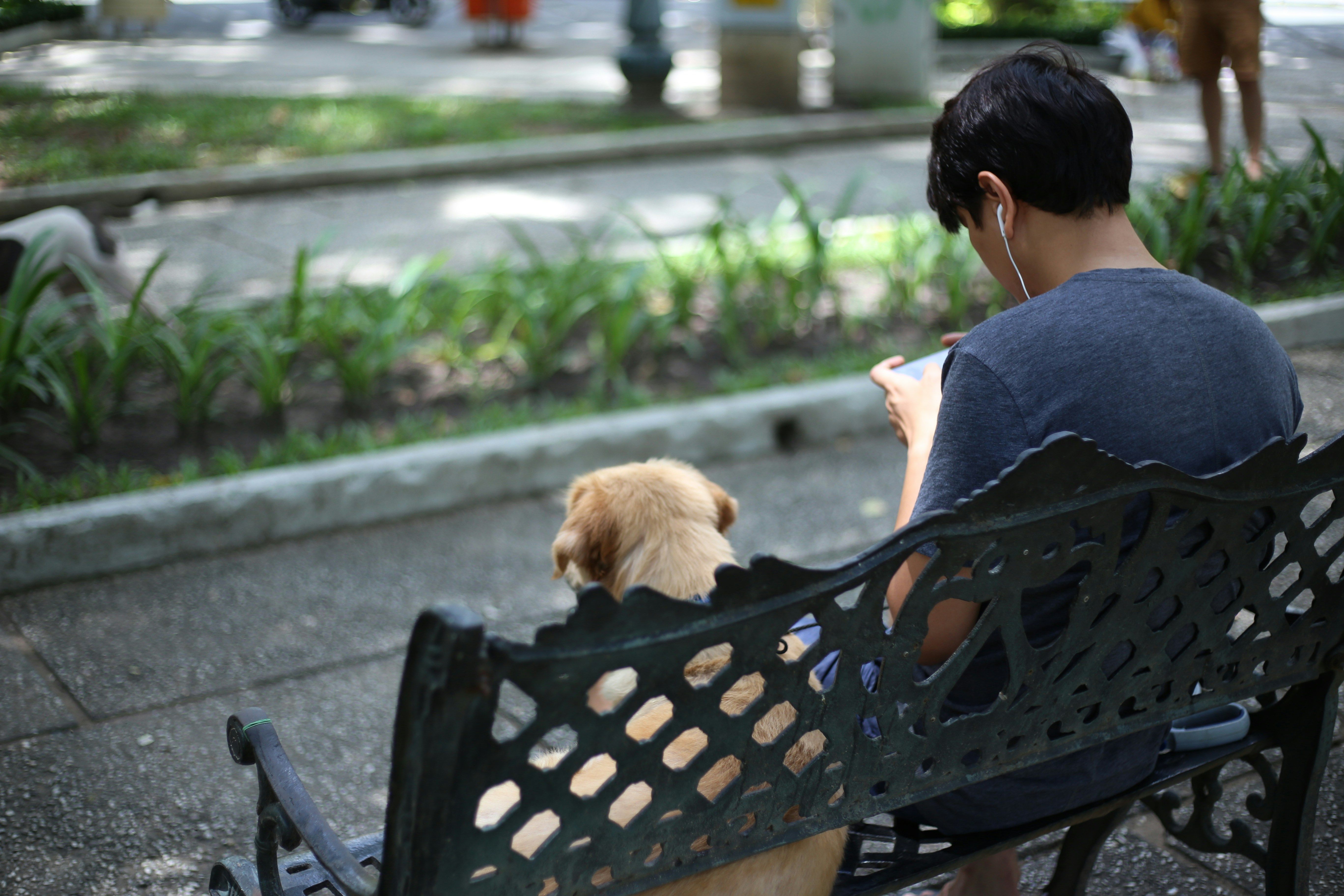 man using smartphone sitting on park bench beside dog