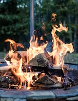 close-up photography of bonfire during daytime