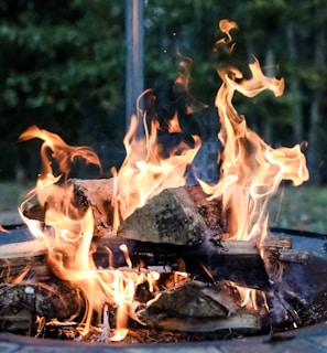 close-up photography of bonfire during daytime