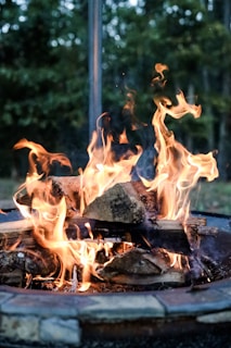 close-up photography of bonfire during daytime