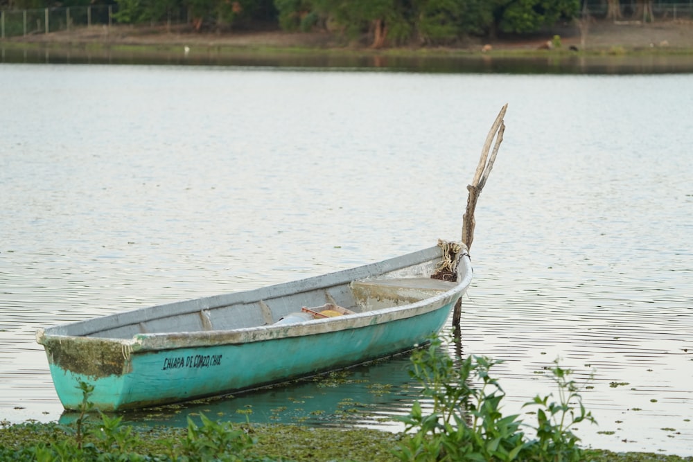 bateau vert et blanc sur plan d’eau