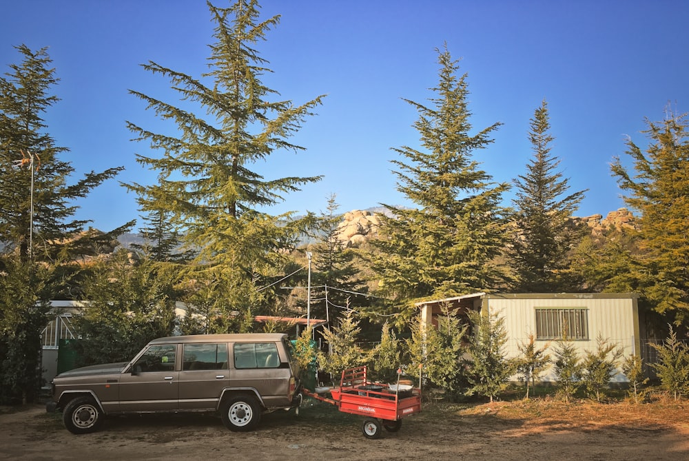 gray station wagon parked beside green trees