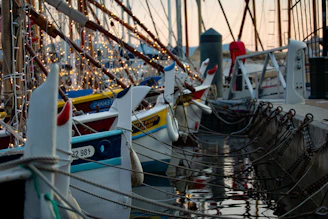A group of electric boats docked side by side in a vibrant marina bustling with community members.