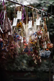 Bundles of dried herbs and spices hanging with local plants in the background.