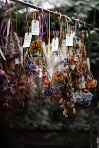 Bundles of dried herbs and spices hanging with local plants in the background.