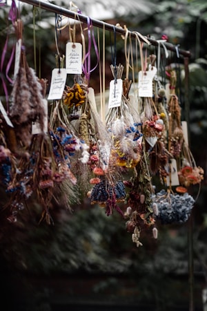 Bundles of dried flowers and herbs hang from a horizontal metal rod, each tied with colorful ribbons and labeled with handwritten tags. The flowers vary in texture and color, including blues, yellows, browns, and whites. The background is a soft blur of greenery, creating a contrast with the detailed focus on the hanging plants.