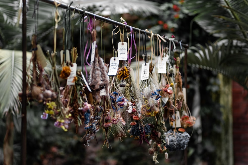 focus photography of flowers hanging on rack