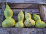 A cluster of lucky gourds arranged on a wooden table, their smooth surfaces catching warm sunlight.