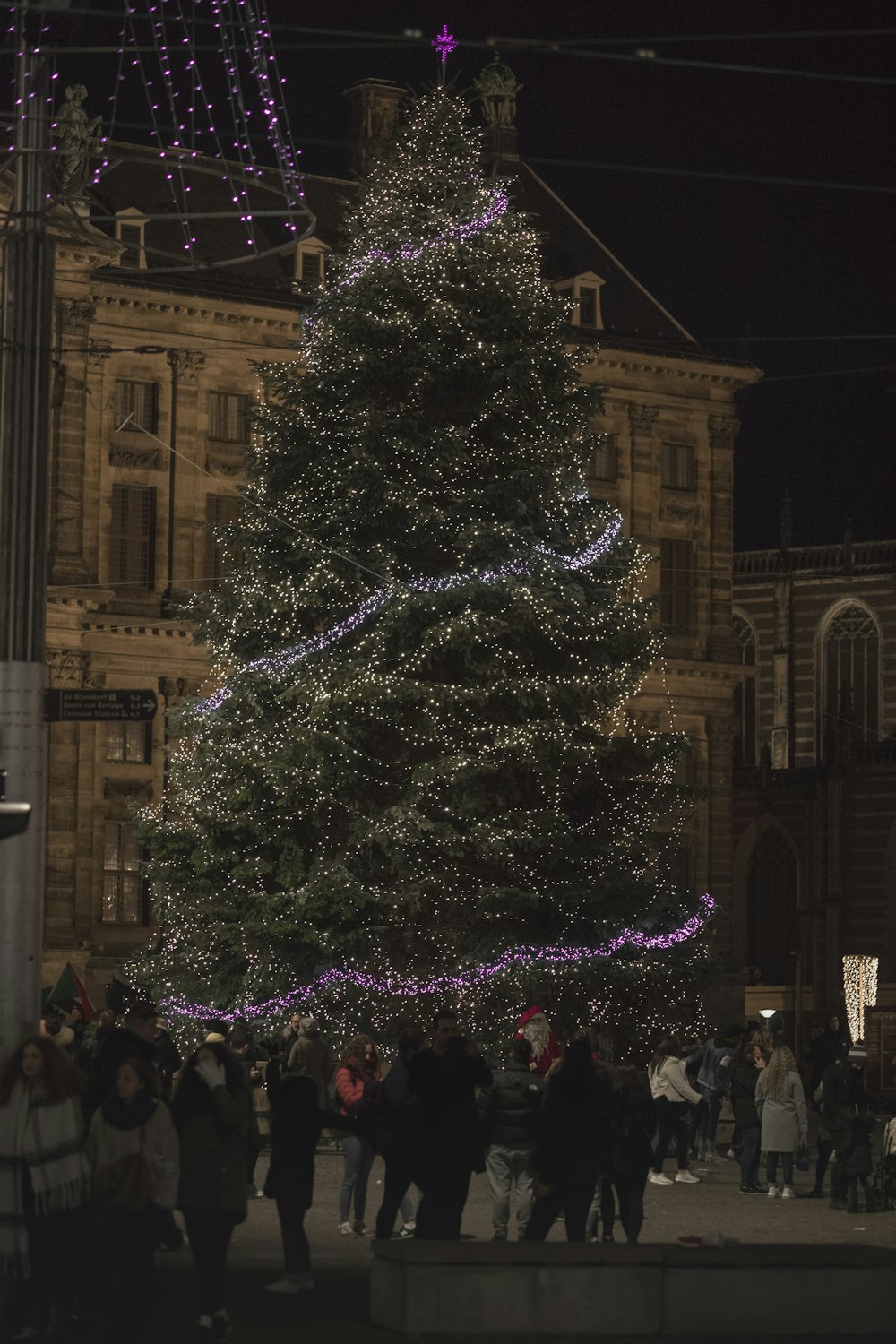 green christmas tree