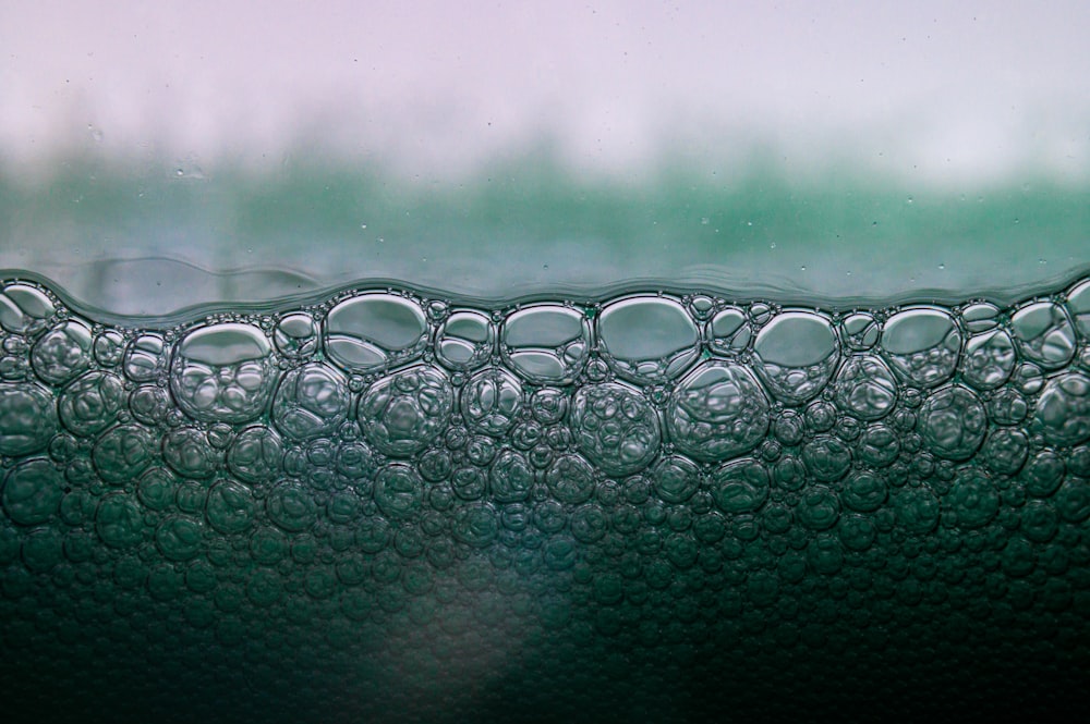 macro photography of green bubbles