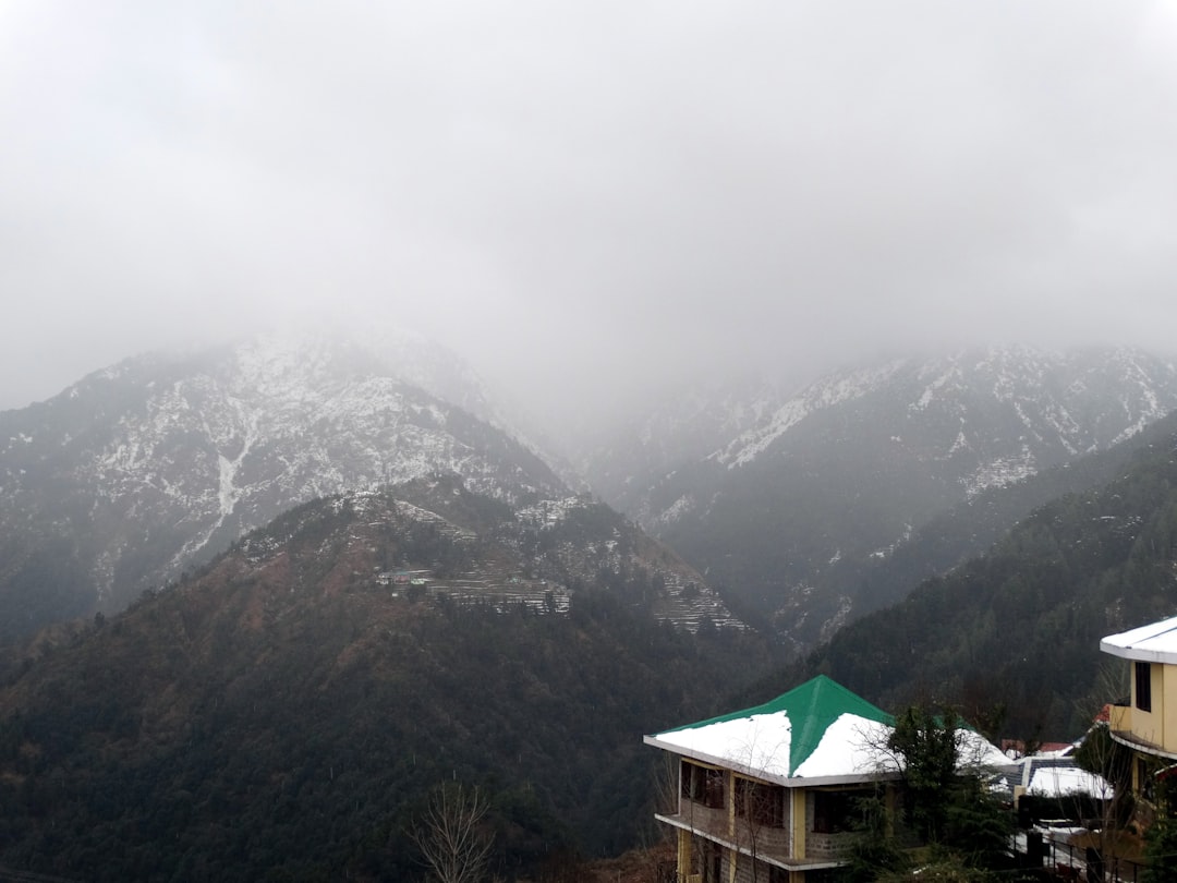 Hill station photo spot Naddi Triund