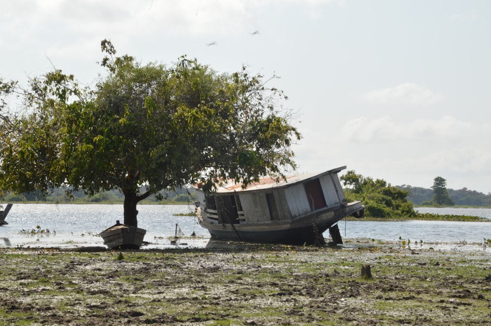 shallow focus photo of white boat on body of water during daytime