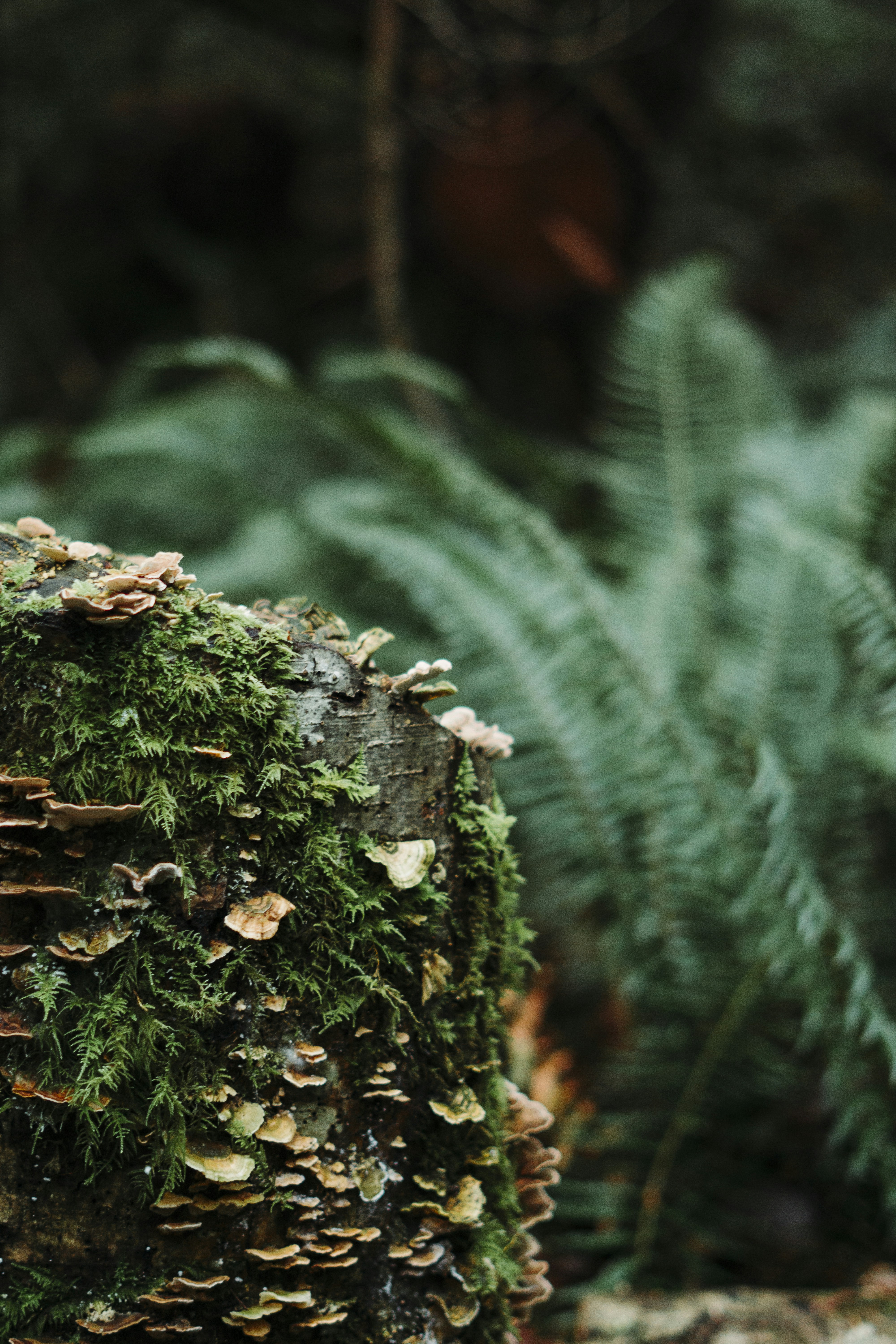 Photo by jaspergarrattphotography