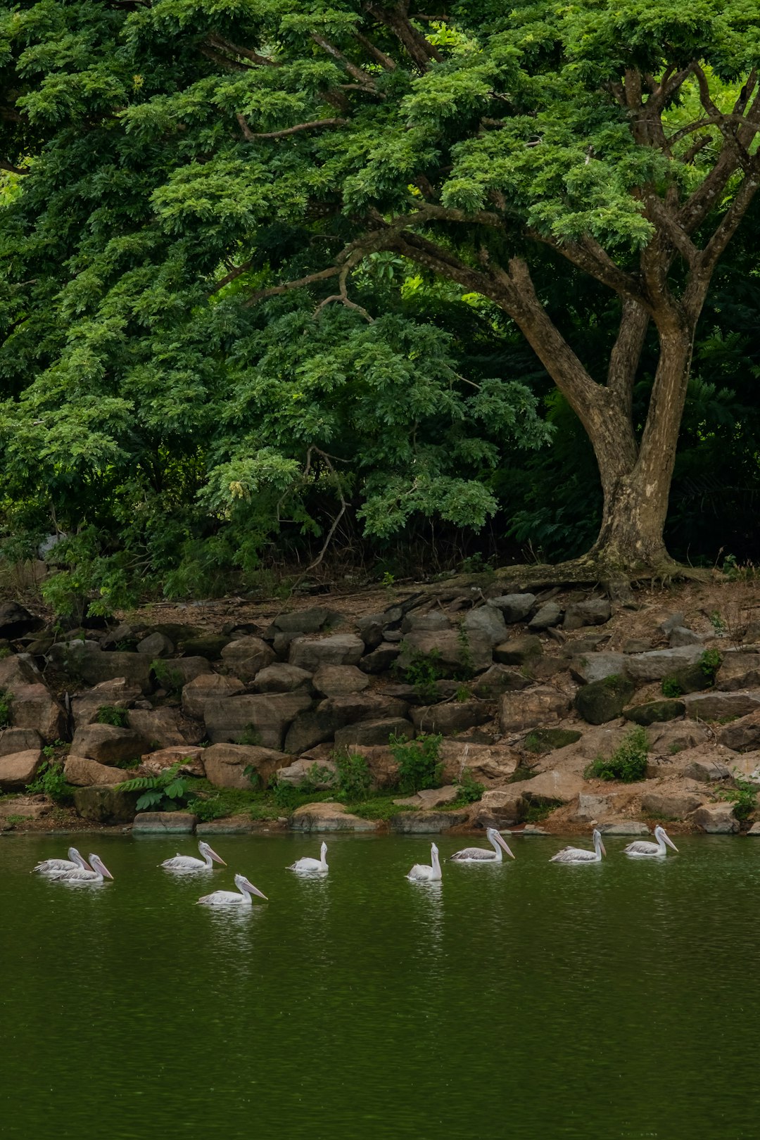 River photo spot Chonburi Thailand