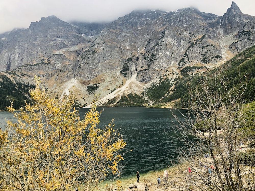 rocky mountain facing body of water