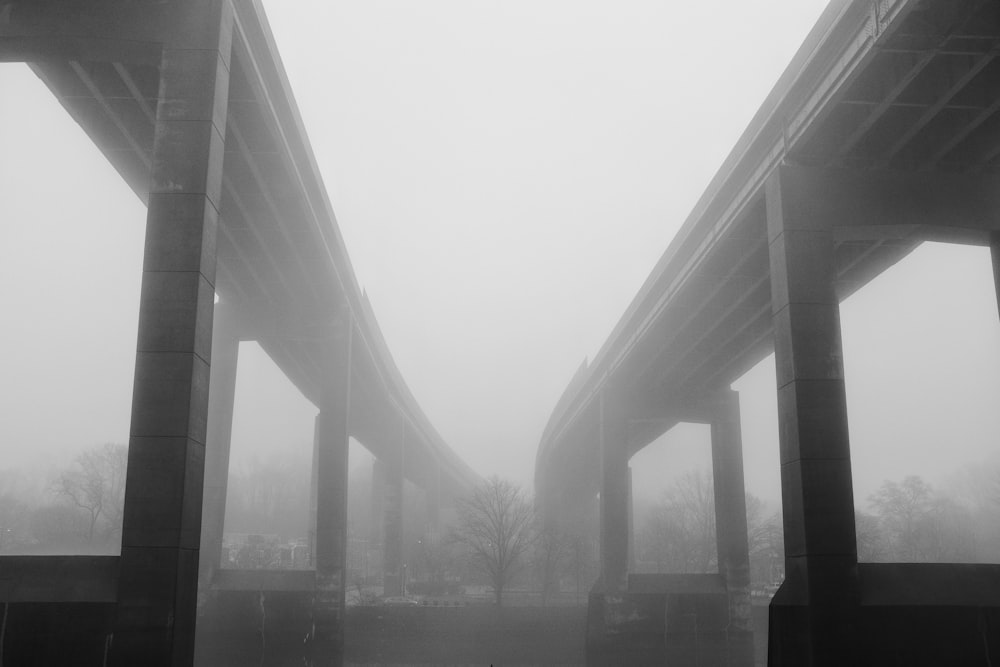 grayscale photography of two concrete bridges