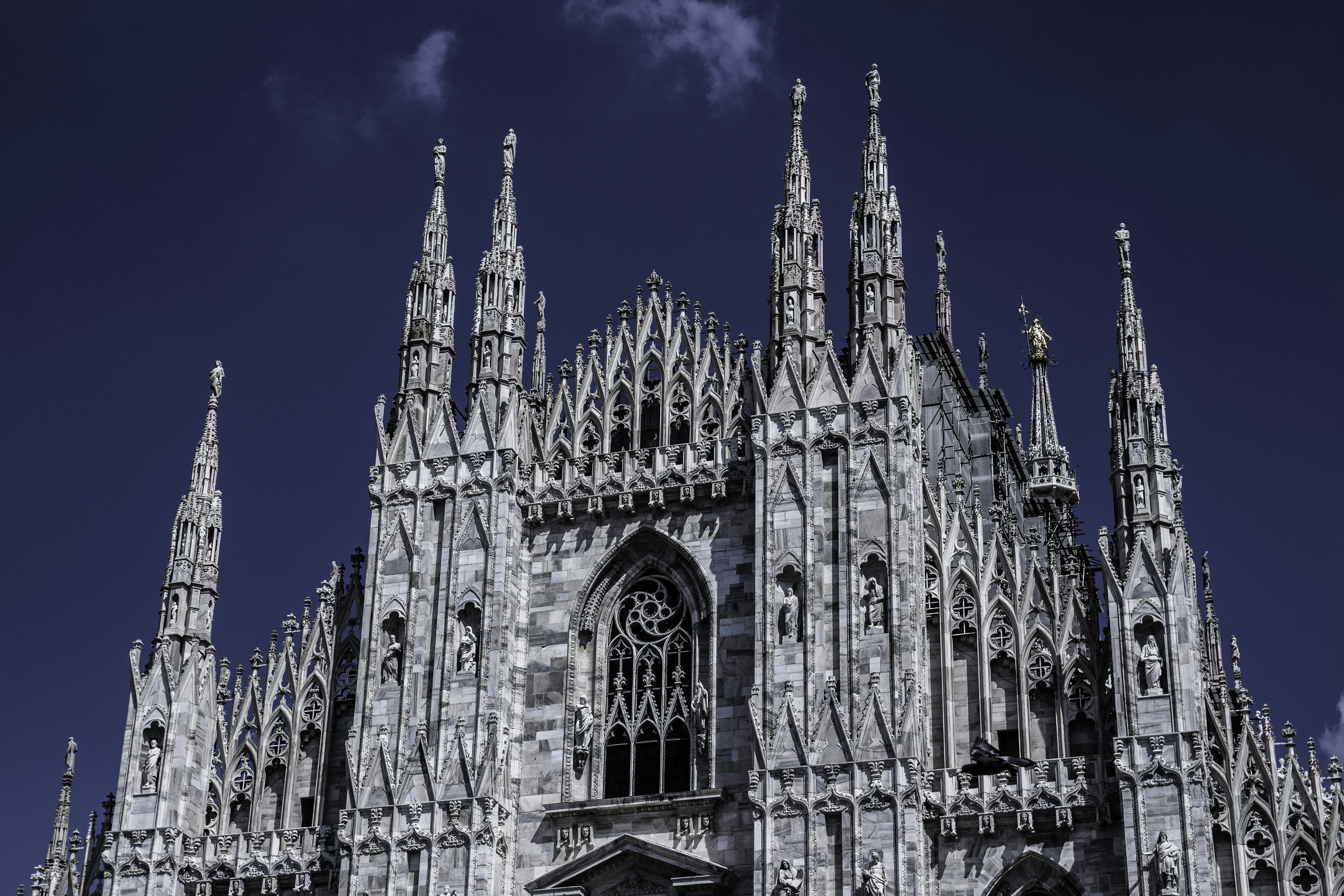 Photo by todoranb_26