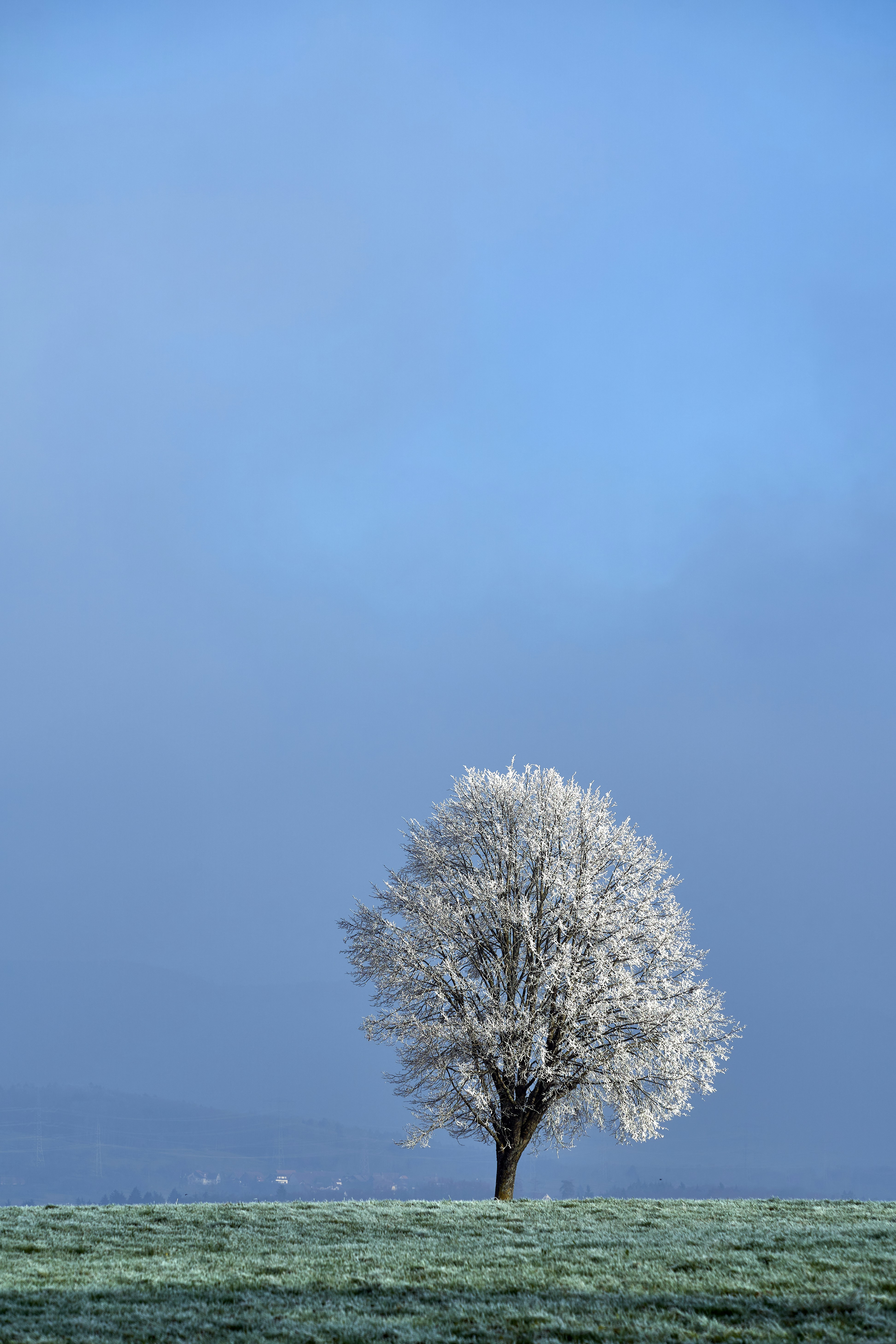 Photo by wolfgang_hasselmann