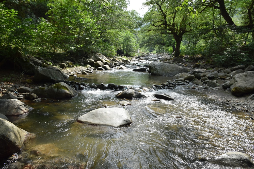 river photograph