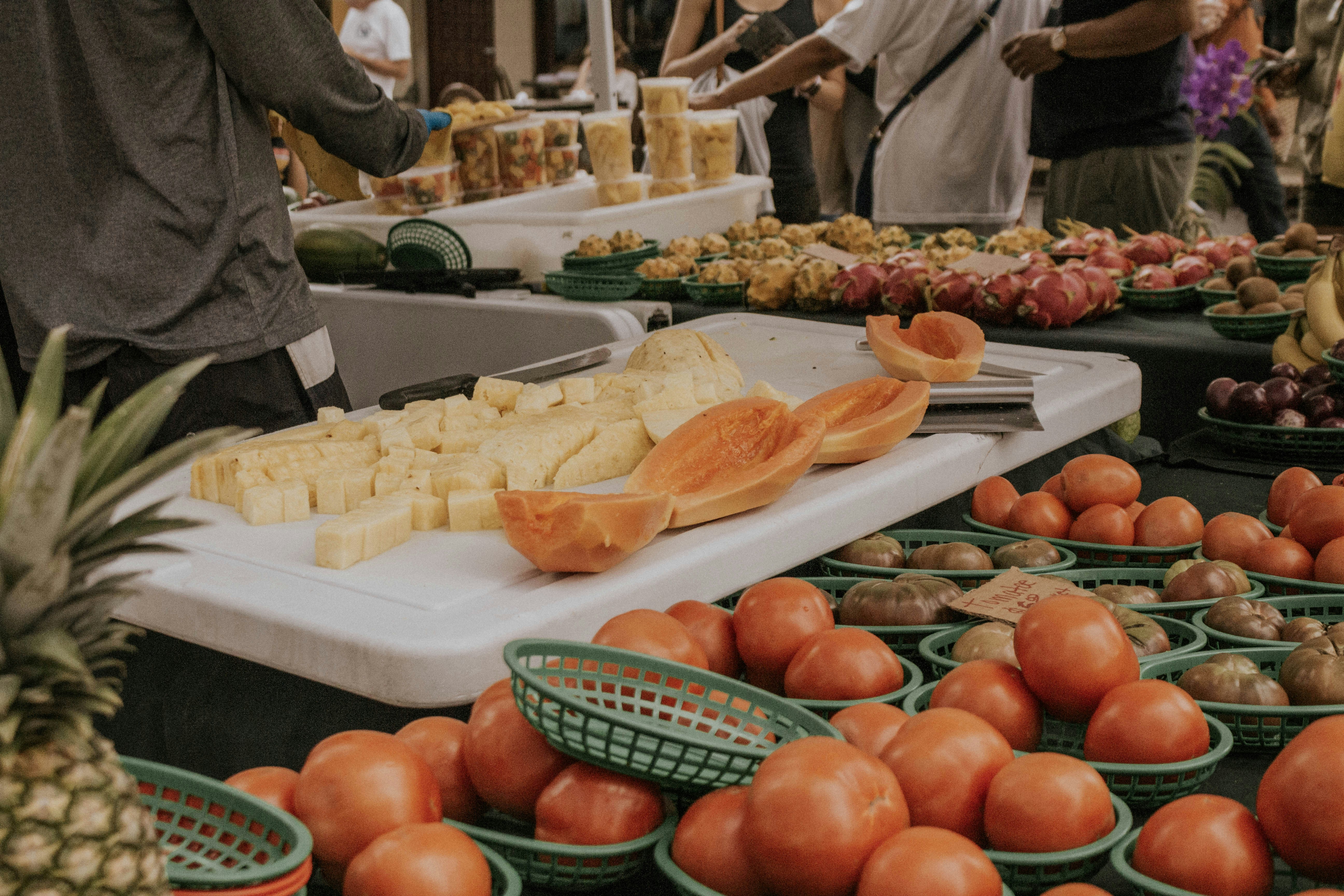 Chicago Venture Summit Draws Sold-Out Crowd for Future of Food Innovation