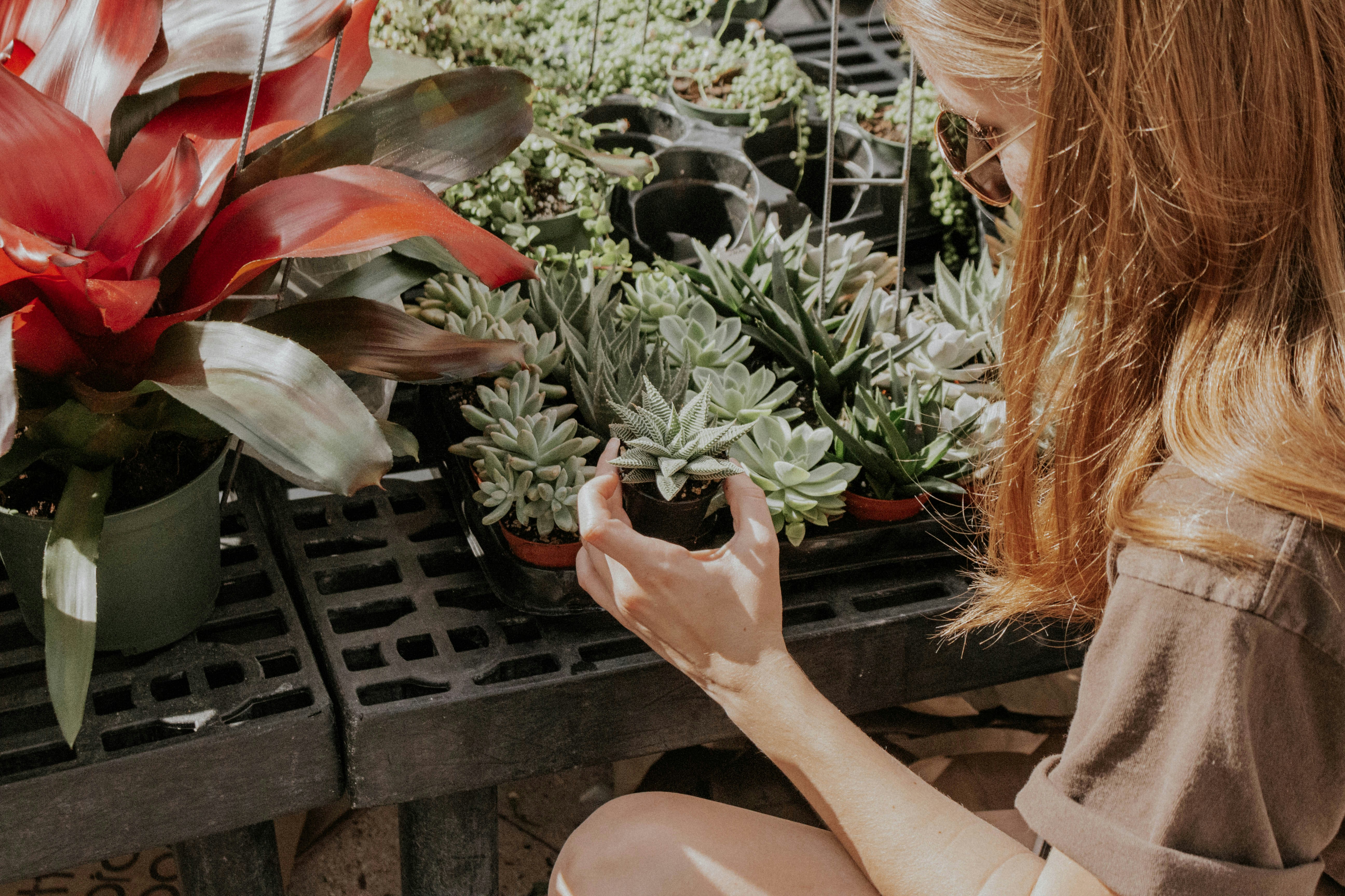 Photo by thewildflowerpress