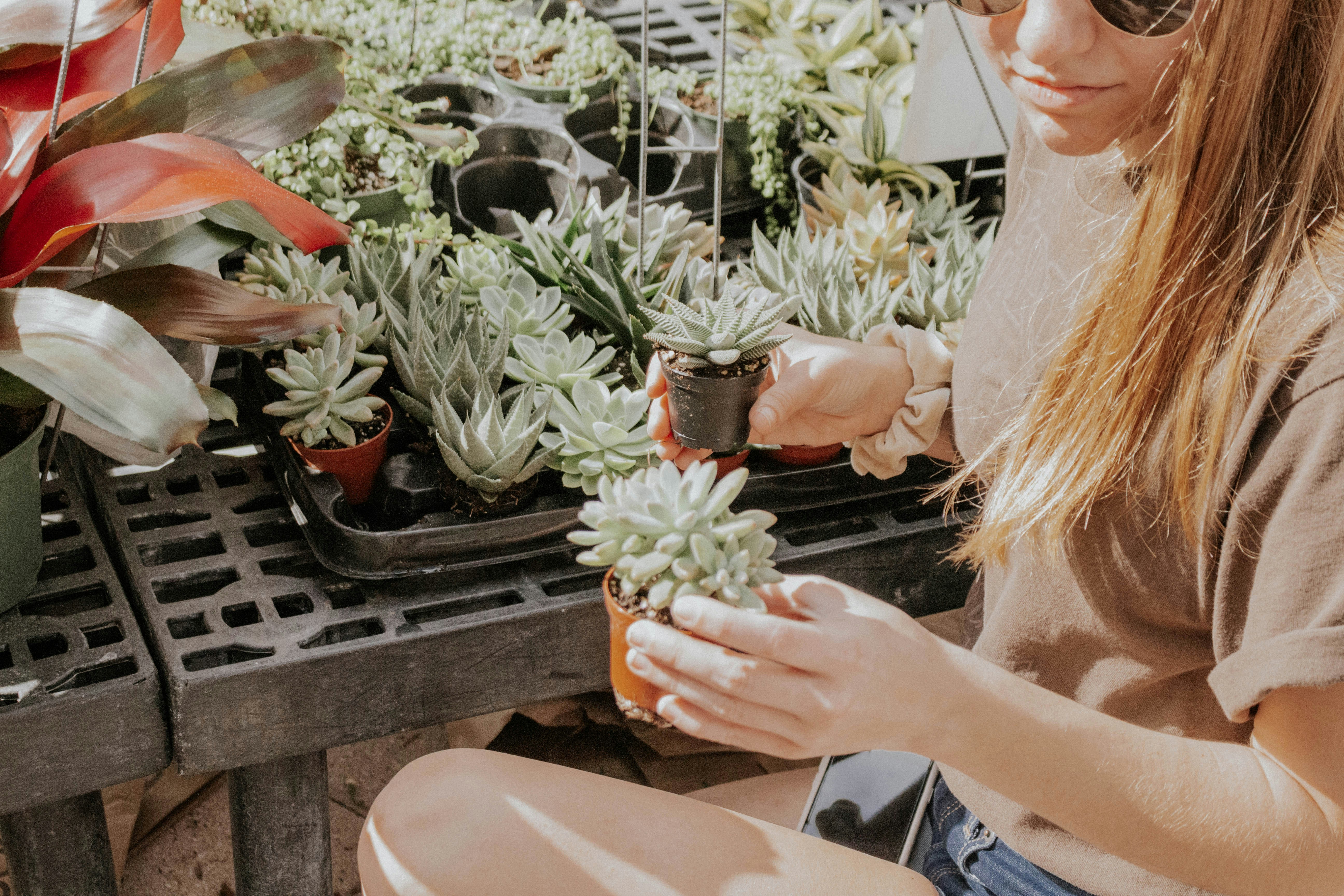 Addiction Treatment in Delray Beach: A Complete Guide (2026) | Rehab Connect USA