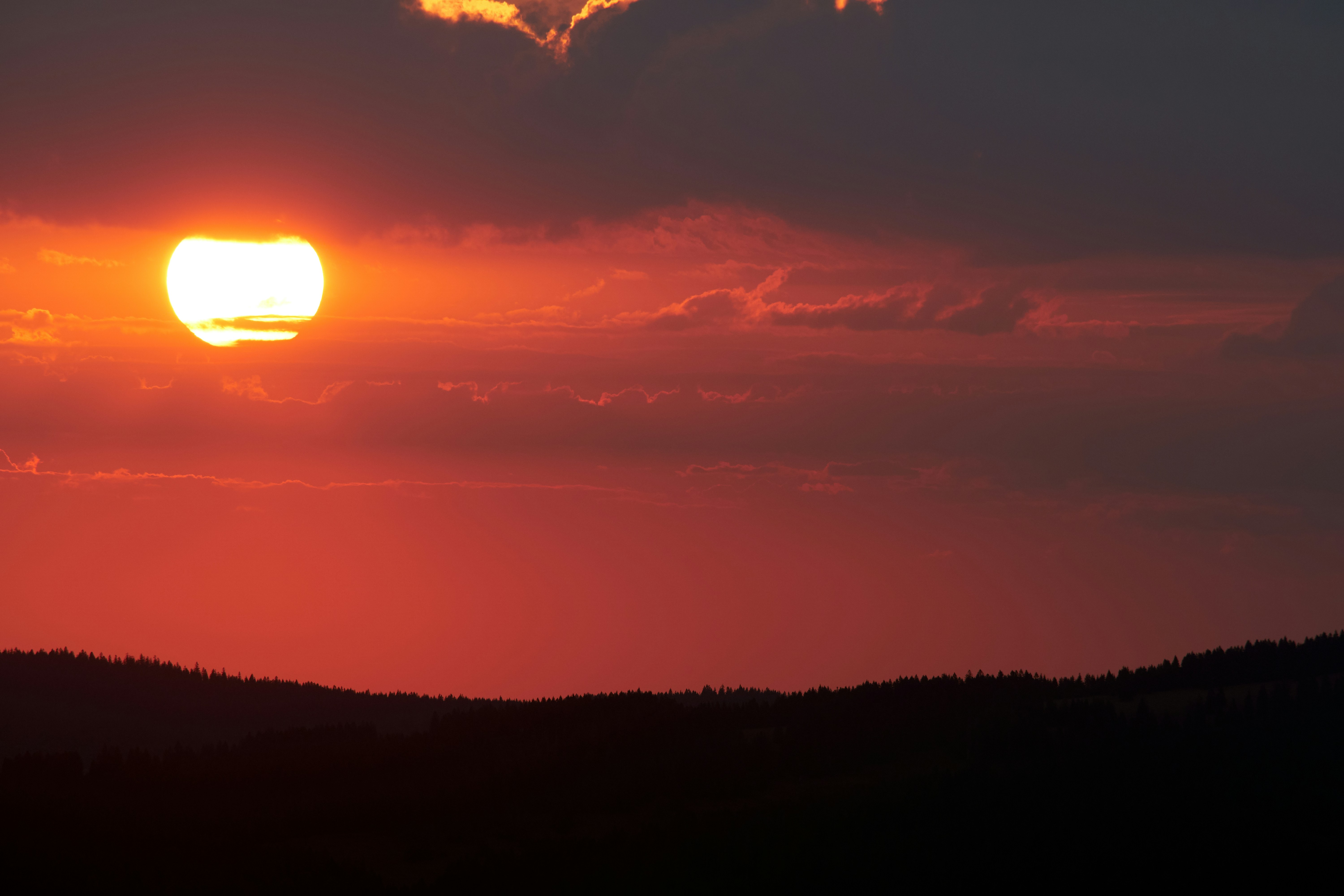 Photo by wolfgang_hasselmann