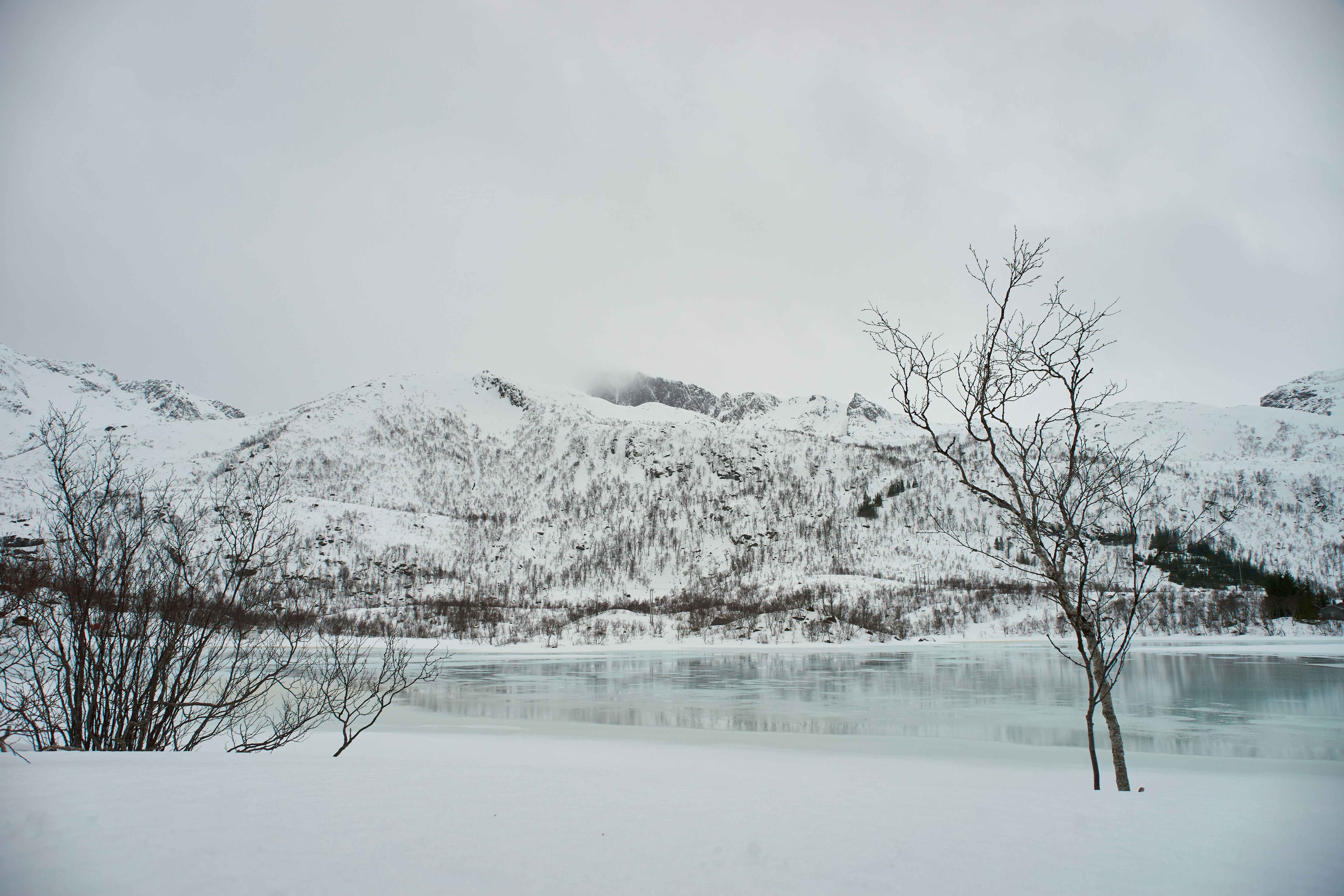 Photo by wolfgang_hasselmann