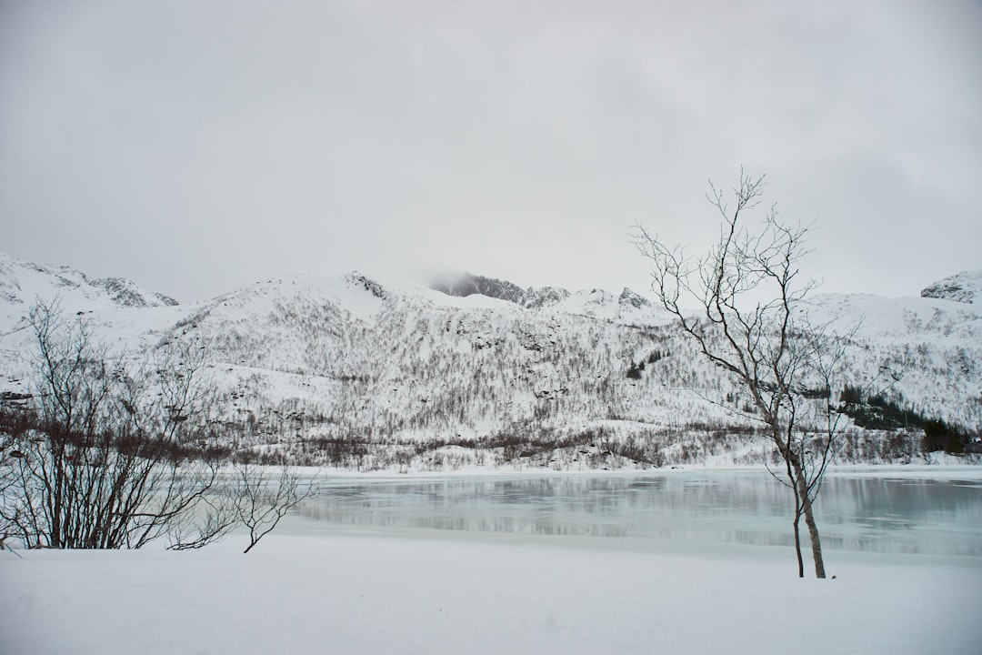 snow covered mountains during daytime