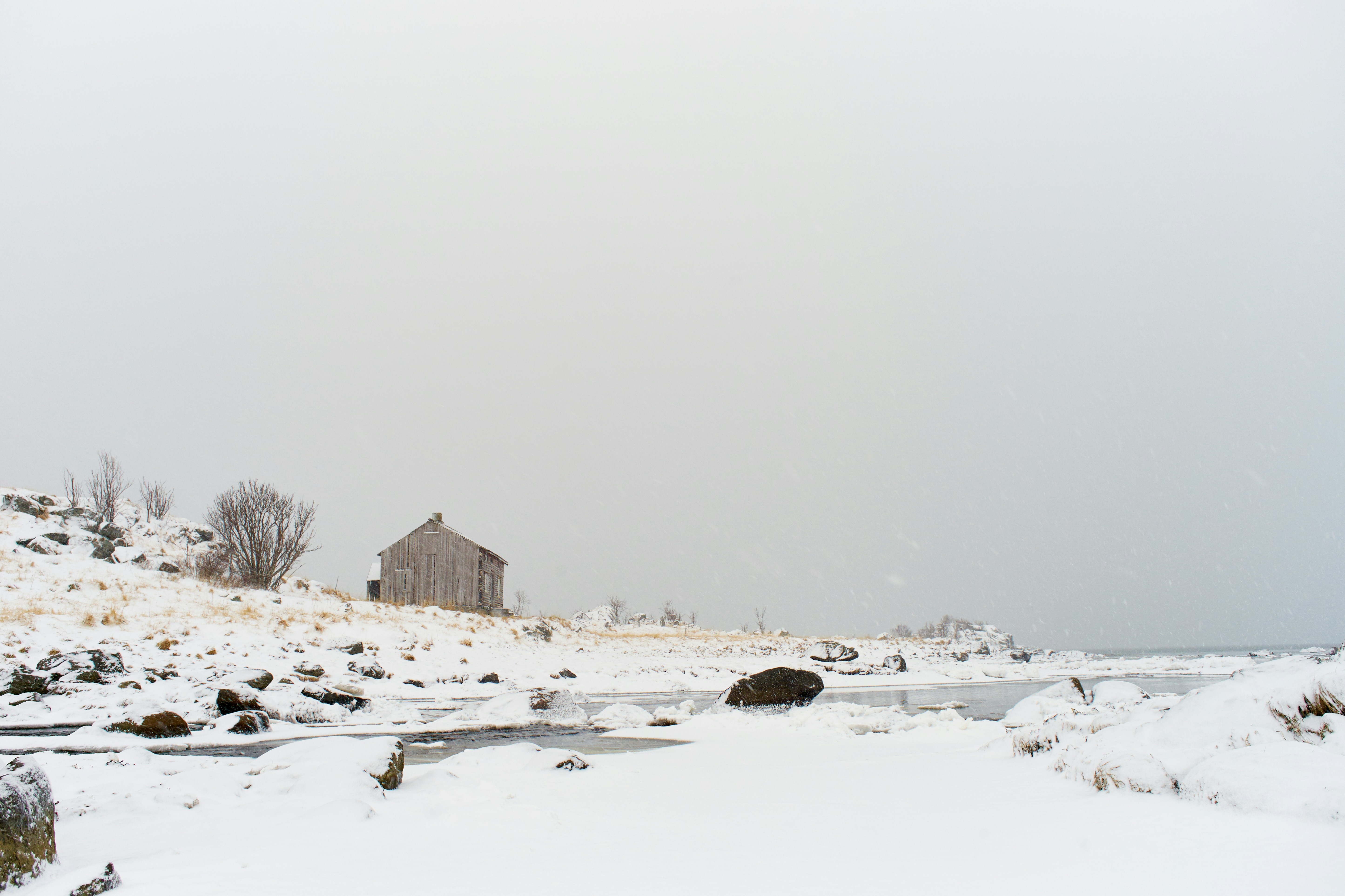 Photo by wolfgang_hasselmann