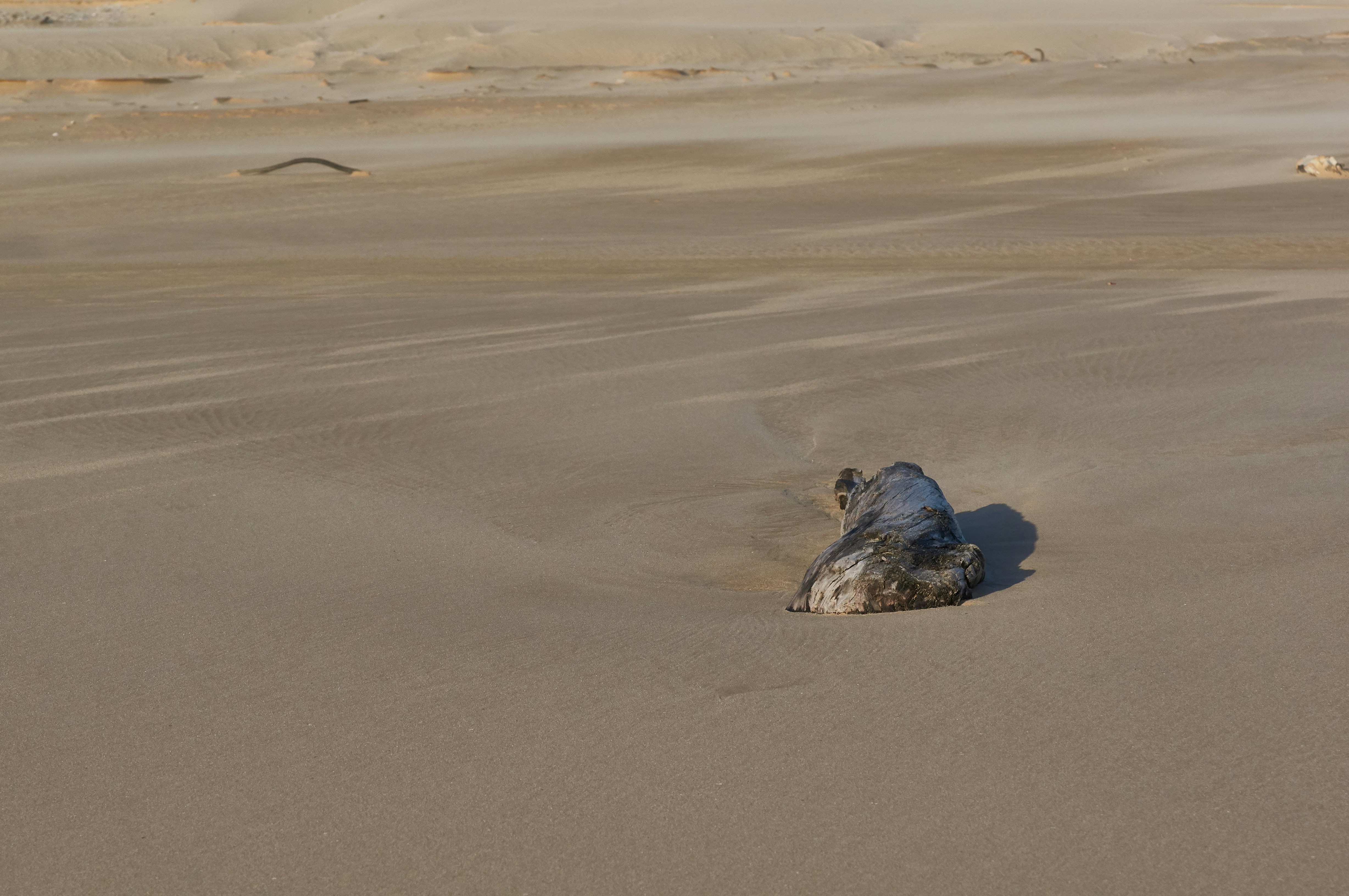 Photo by wolfgang_hasselmann