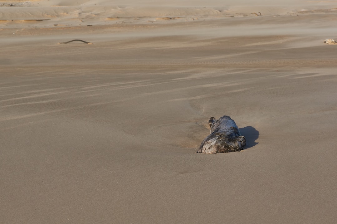 gray stone on sand