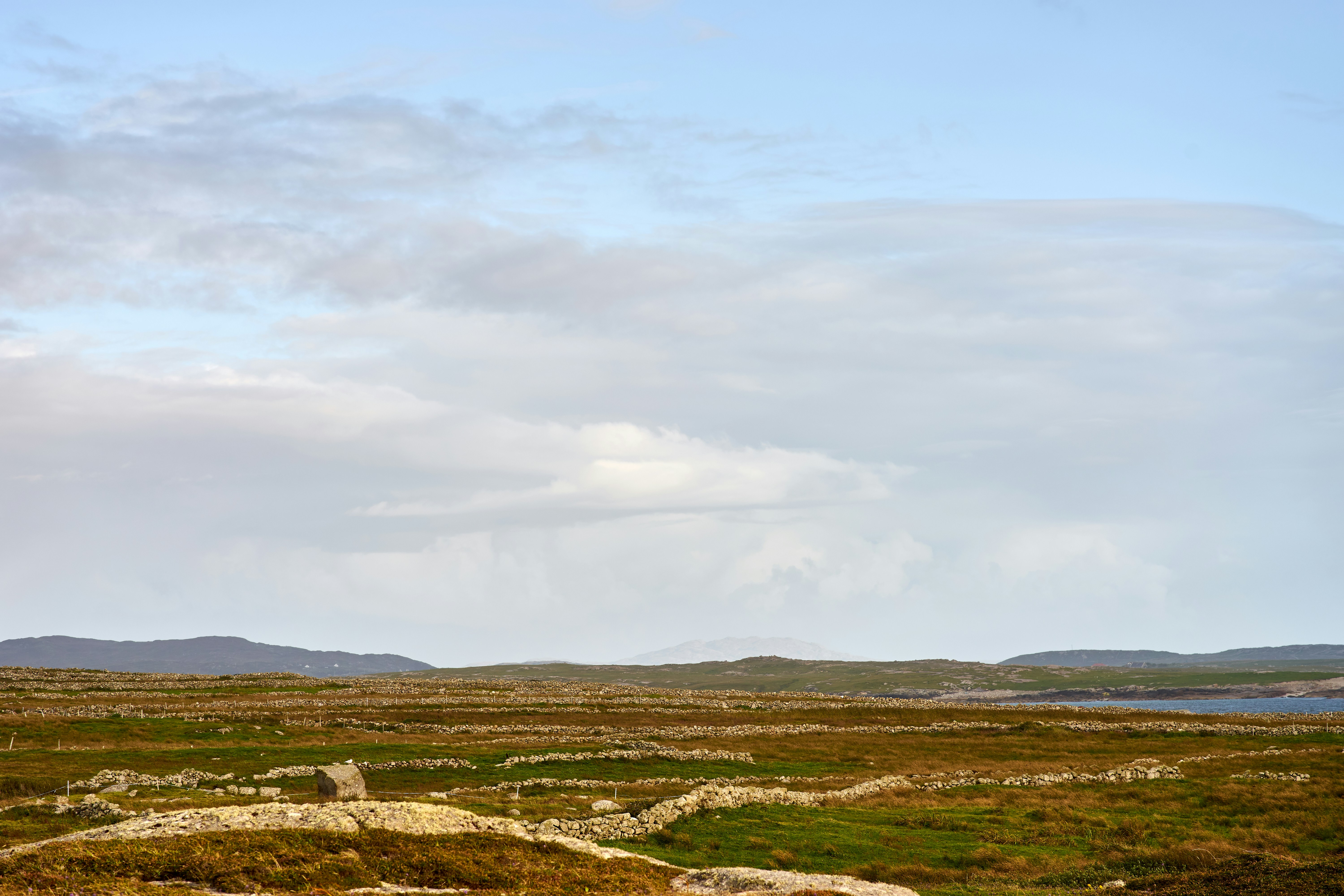 The Driftless Area: An Odd Survivor (image credits: unsplash)