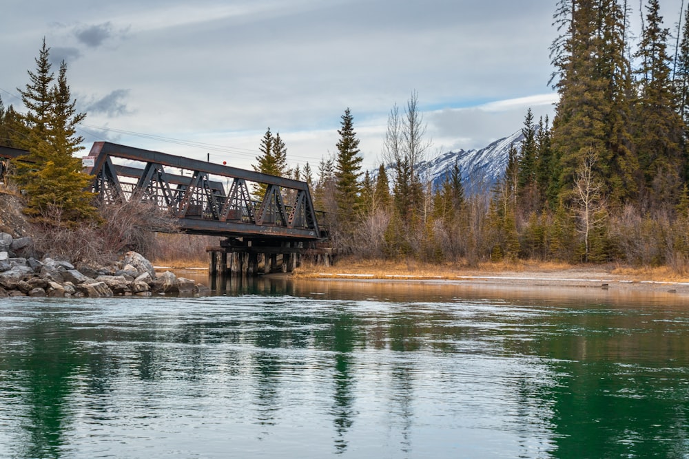 Photographie de pont brun