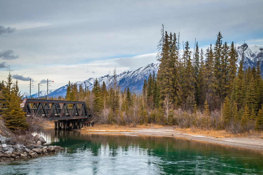 bridge photograph