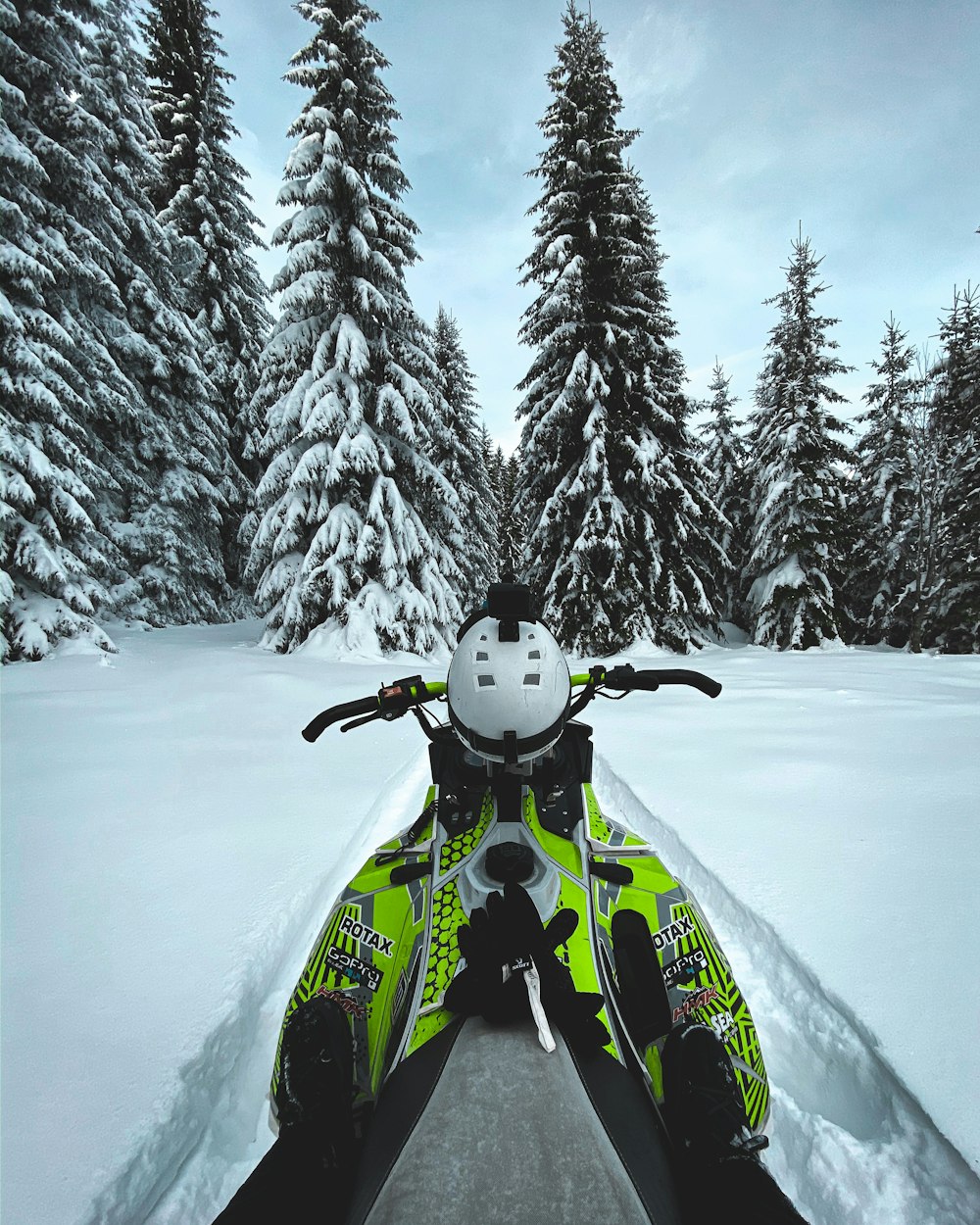 snowmobile in snow forest