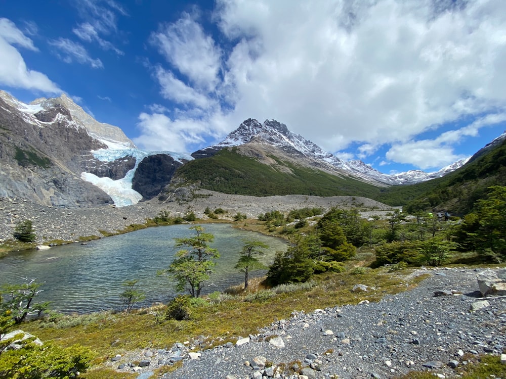 lake in forest