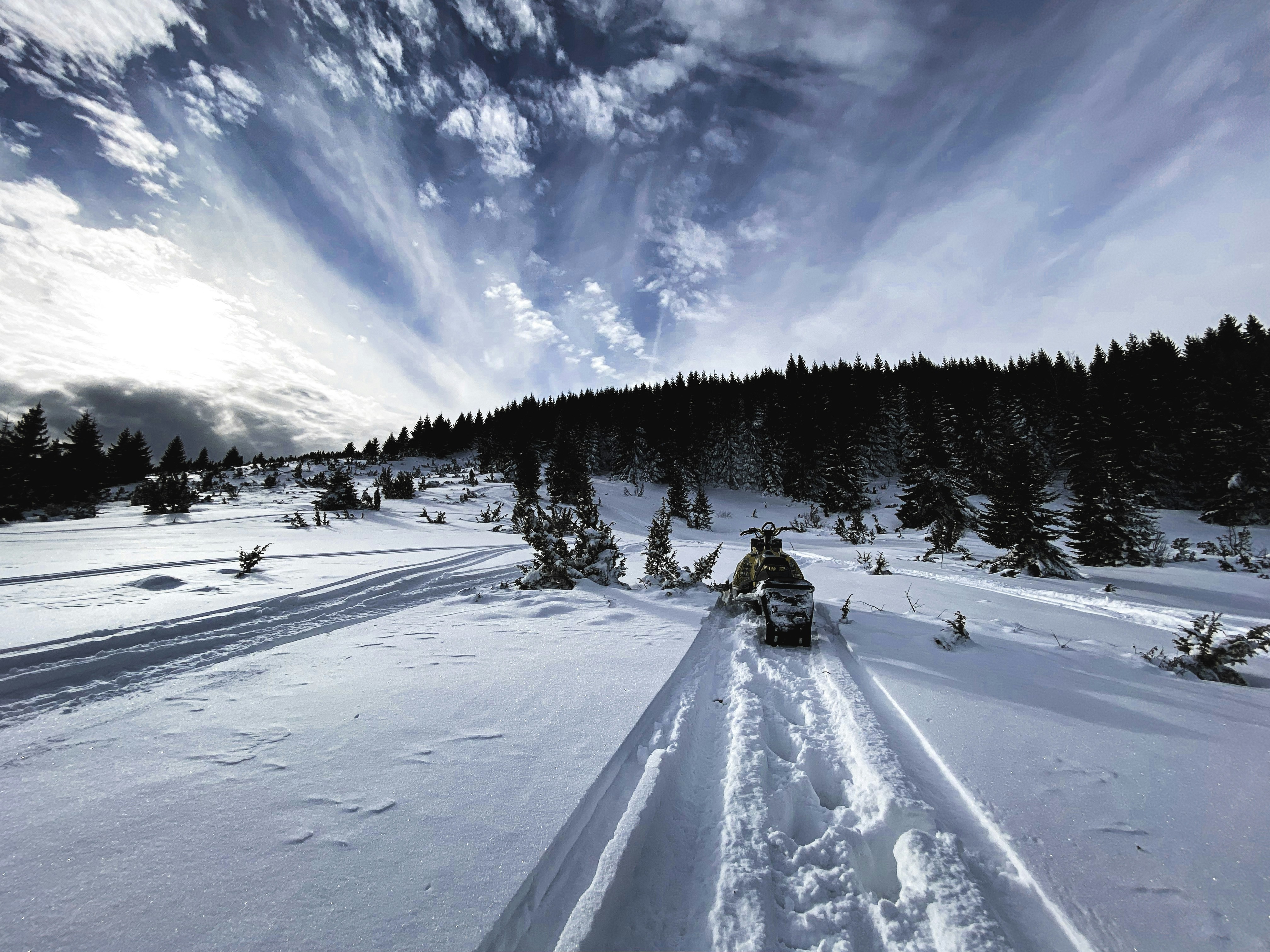 vehicle on snow forest