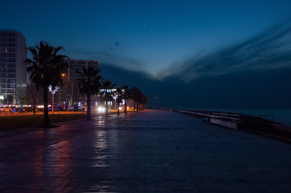 a city street at night with palm trees