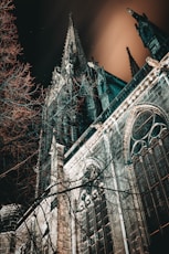 cathedral at night