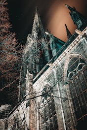 cathedral at night