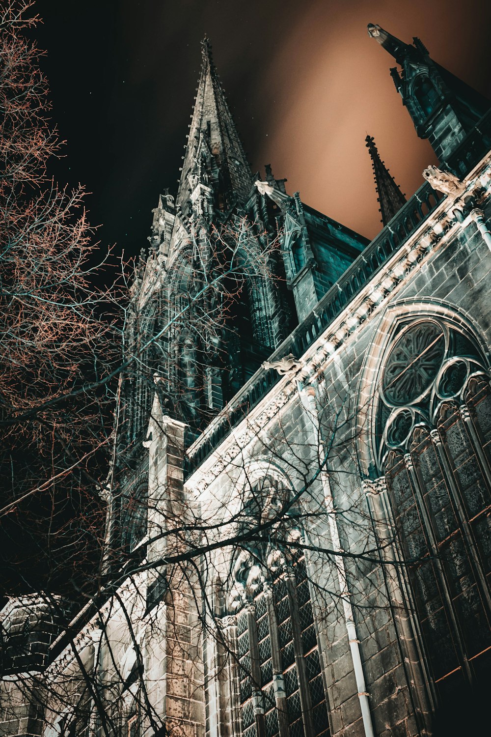 cathedral at night