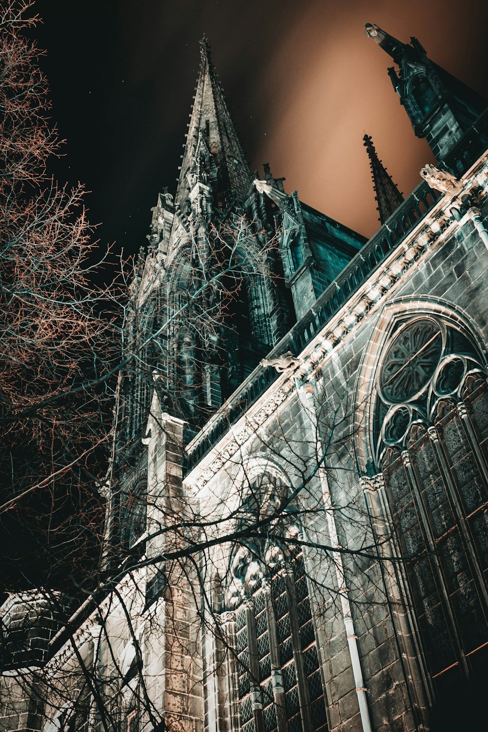 Catedral por la noche