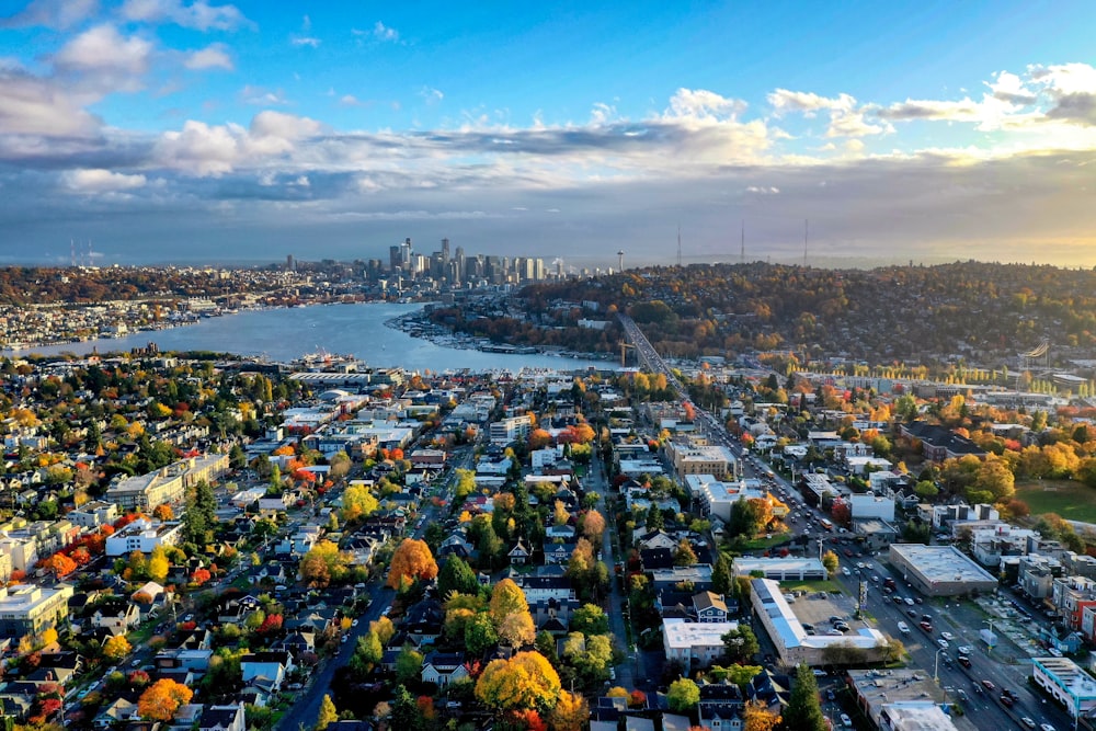 aerial photograph of city