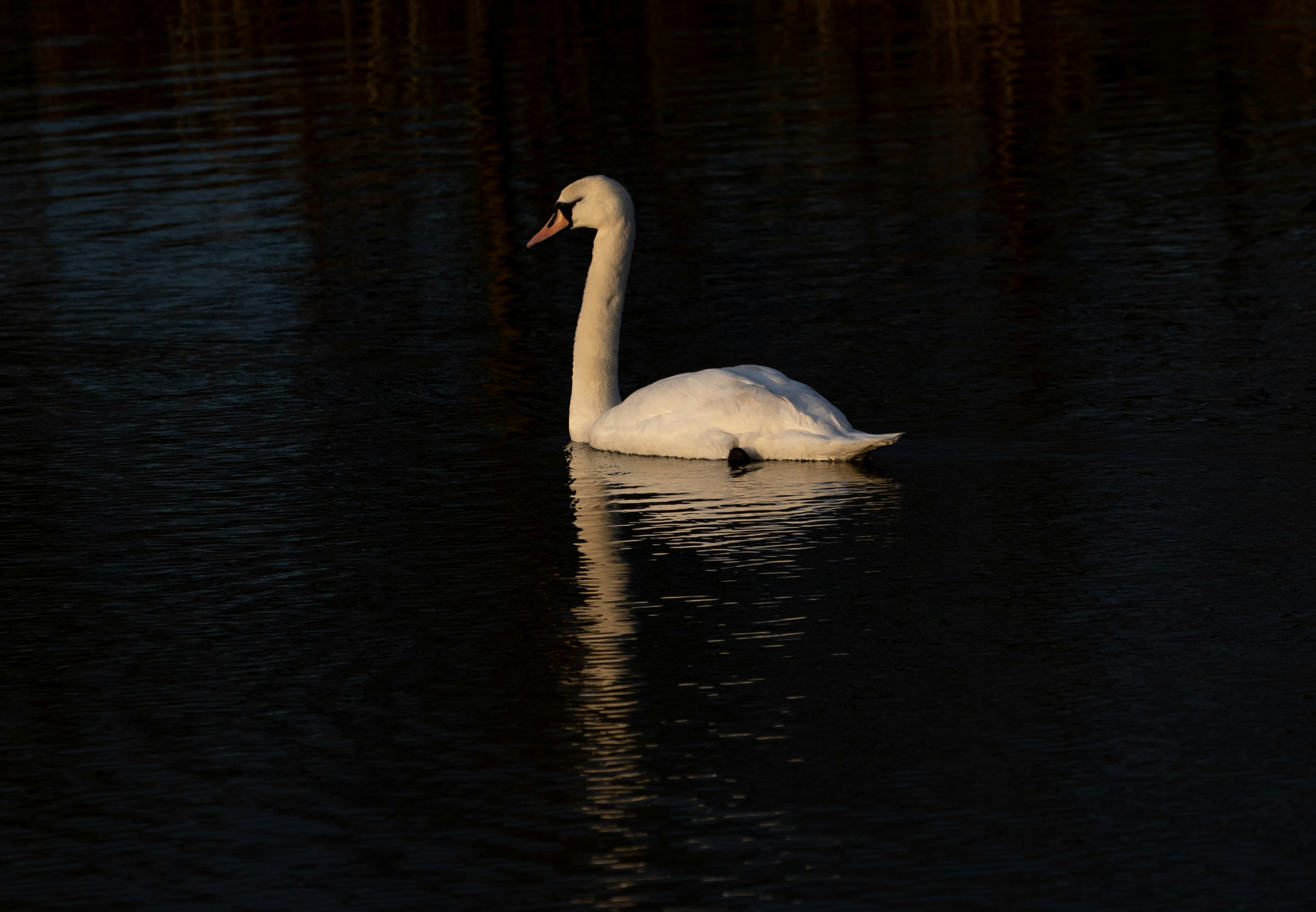 Photo by theotherkev