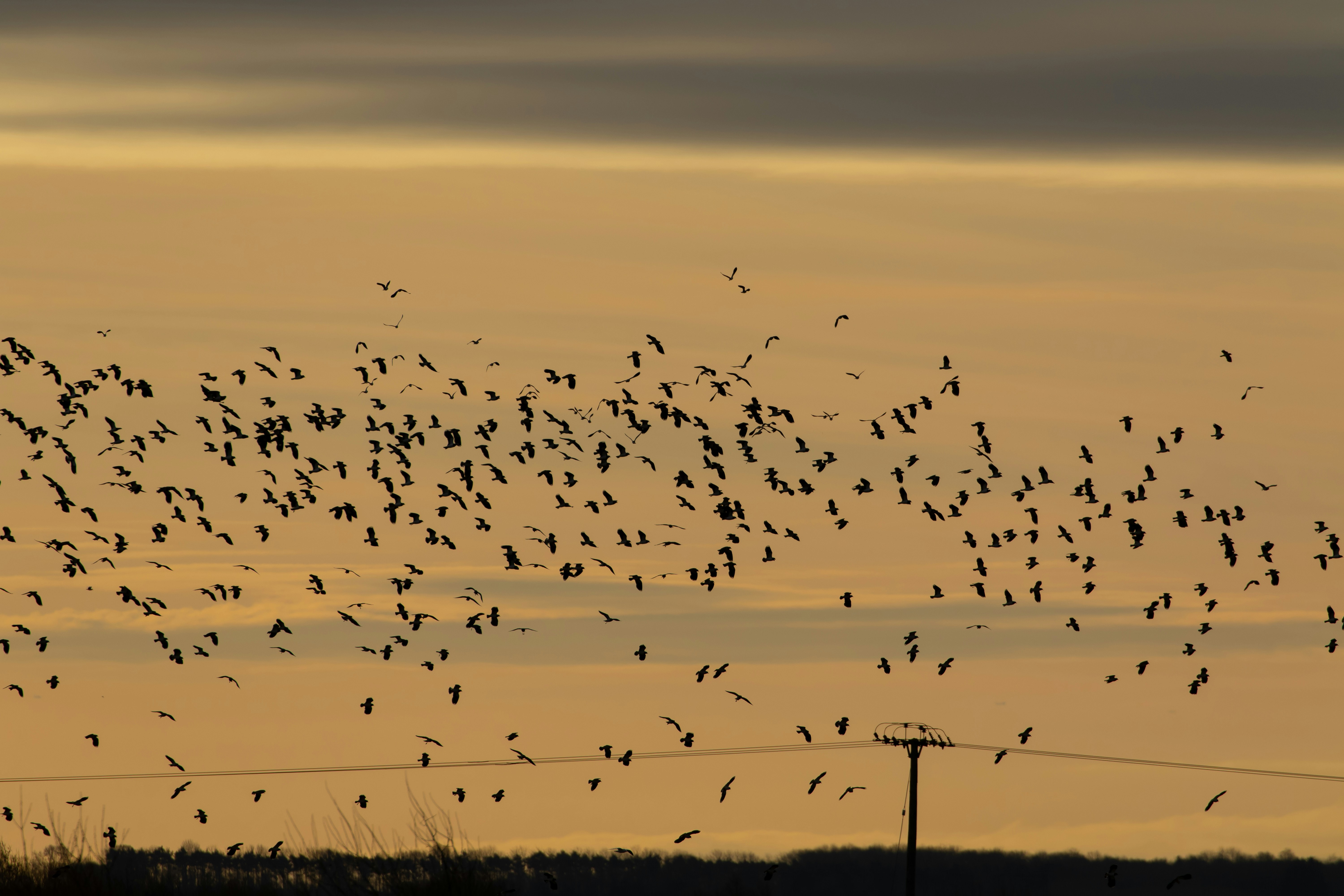 Photo by theotherkev