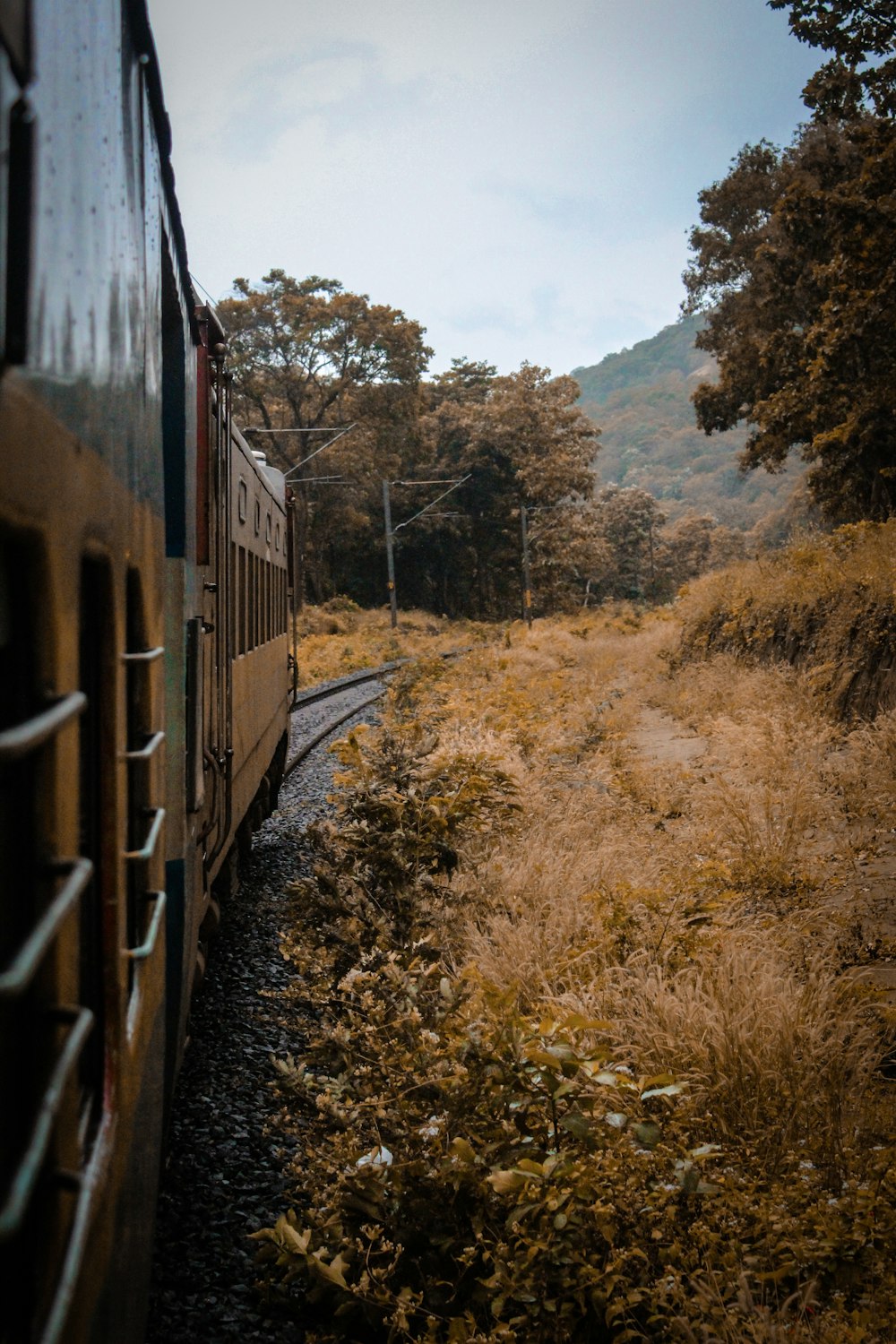 brown train beside trees