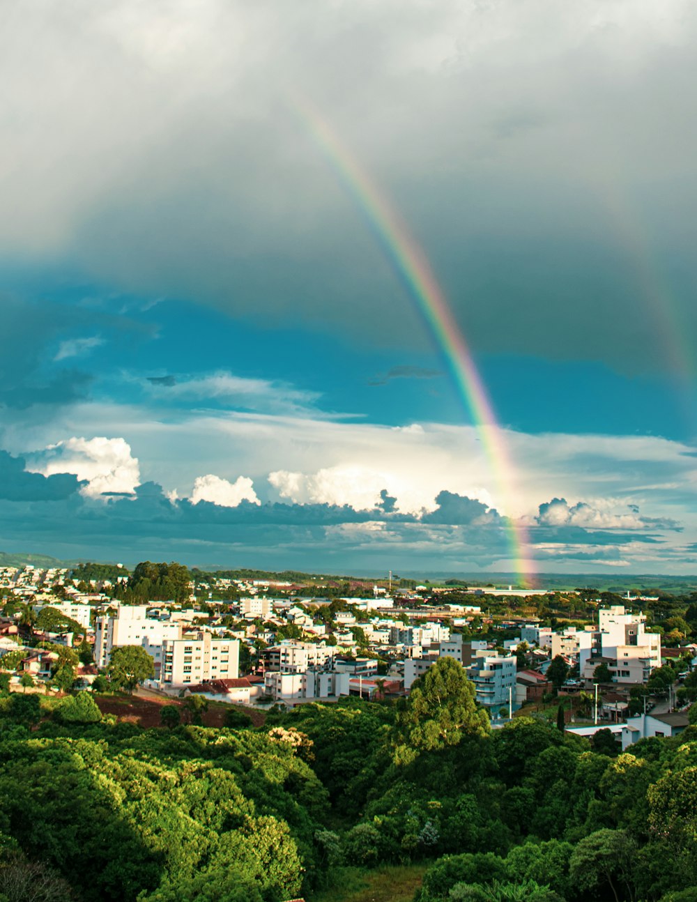 aerial view of city buildings and trees during daytime